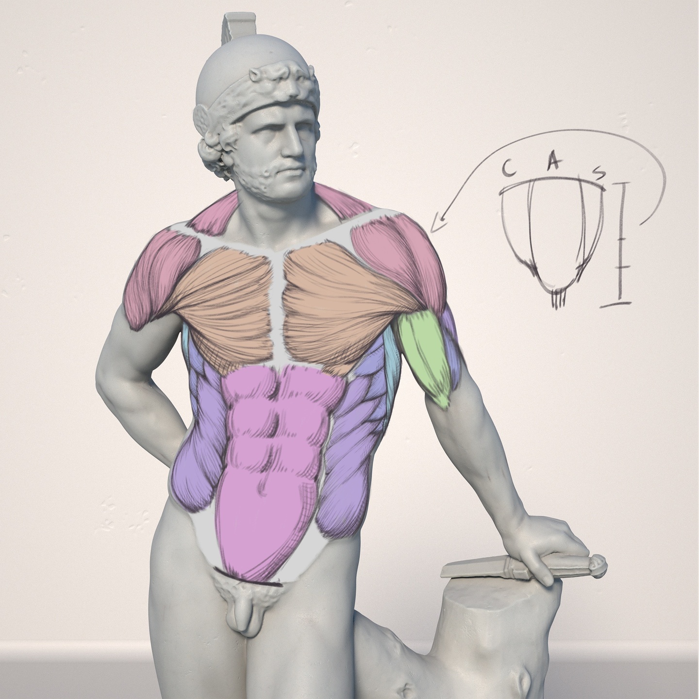 Product Photography for Mobile Accessories